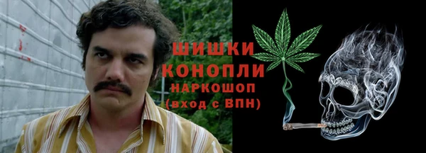 spice Гусиноозёрск
