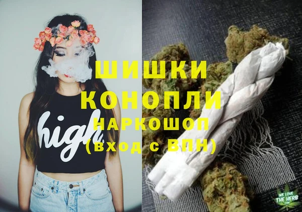 spice Гусиноозёрск