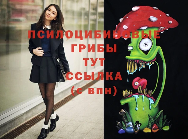 spice Гусиноозёрск
